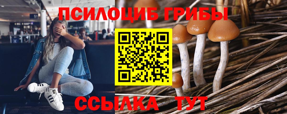 Новокубанск  Галлюциногенные грибы Psilocybine cubensis  Галлюциногенные грибы ЛСД  Вход с VPN 